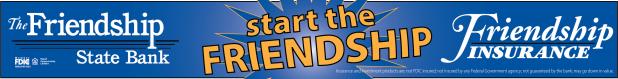 Friendship Insurance