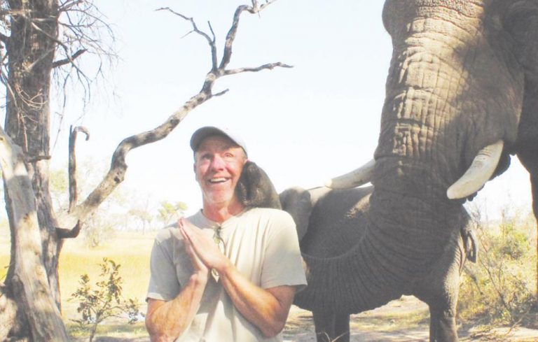 Tom Tasset’s elephant encounter helped spur his idea to rebrand HTT Agency to include online insurance sales and rename his firm. SUBMITTED PHOTO