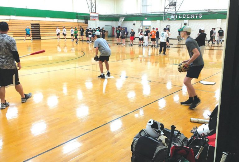 The Harrison High School baseball team works out in the high school gymnasium during the first day of official practice Feb. 22. DICK MALONEY/THE HARRISON-PRESS