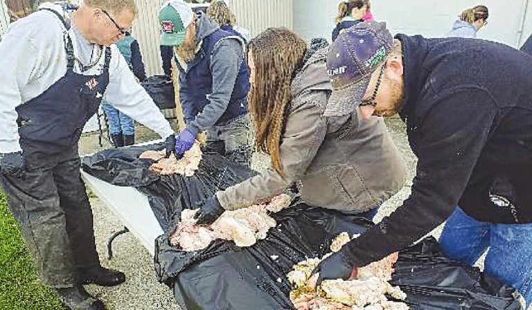 Students in the Artificial Insemination Certification School go through hands-on training in Osgood. SUBMITTED PHOTOS