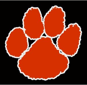 Tiger PAW 2014