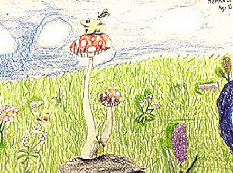 Kenna Batchelor’s artwork used for a place mat at University of Cincinnati hospital. SUBMITTED PHOTO
