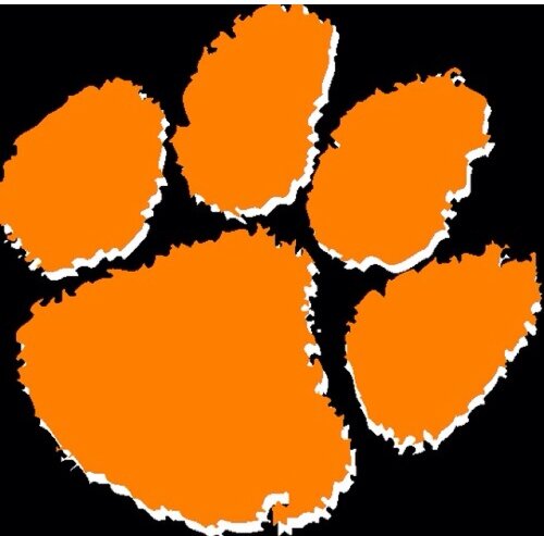 LHS Athletics LOGO