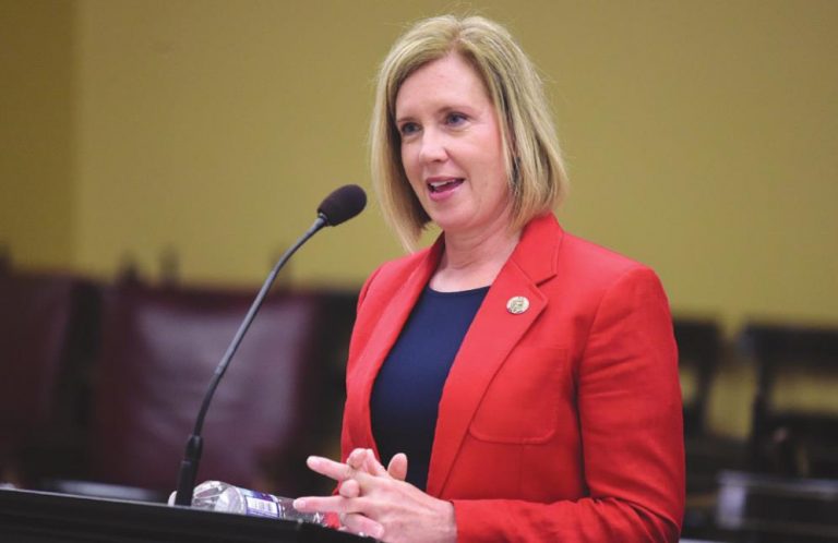 State Rep. Cindy Abrams (R–Harrison) speaks about House Bill 283 that is related to texting and driving. SUBMITTED PHOTO
