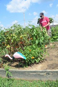 community garden