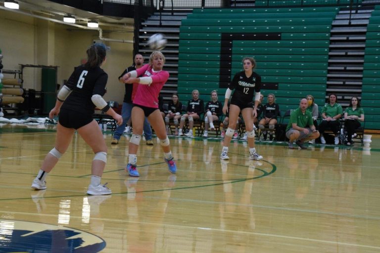 volleyball