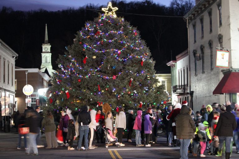 Aurora tree