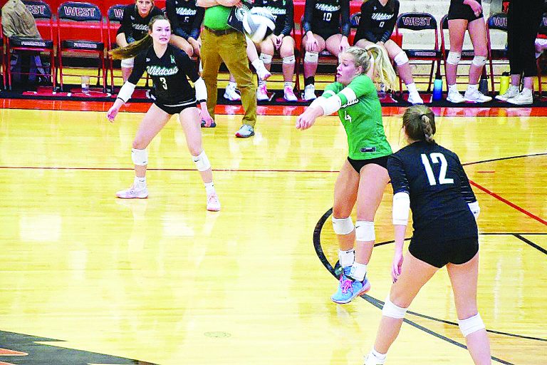 Wildcats volleyball