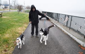 dog walk
