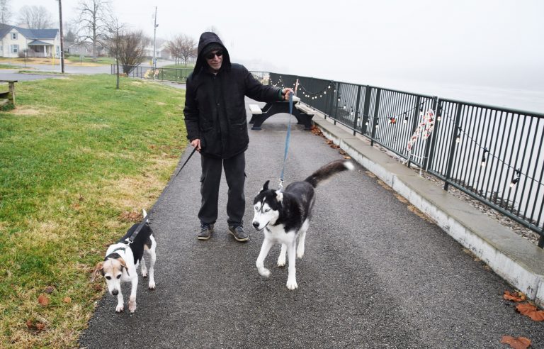 dog walk