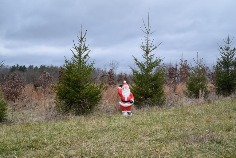 santa field