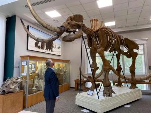state fossil