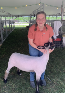 hamilton county fair