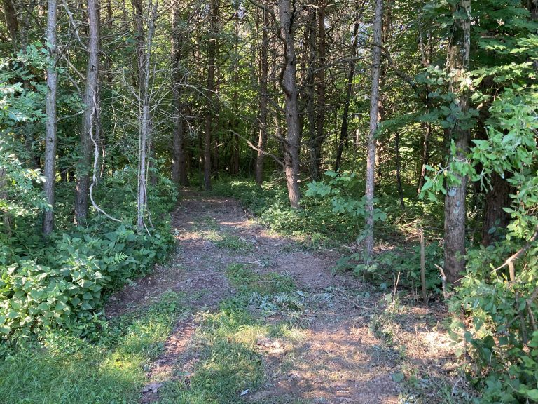 turkey Trail