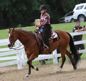 horse show