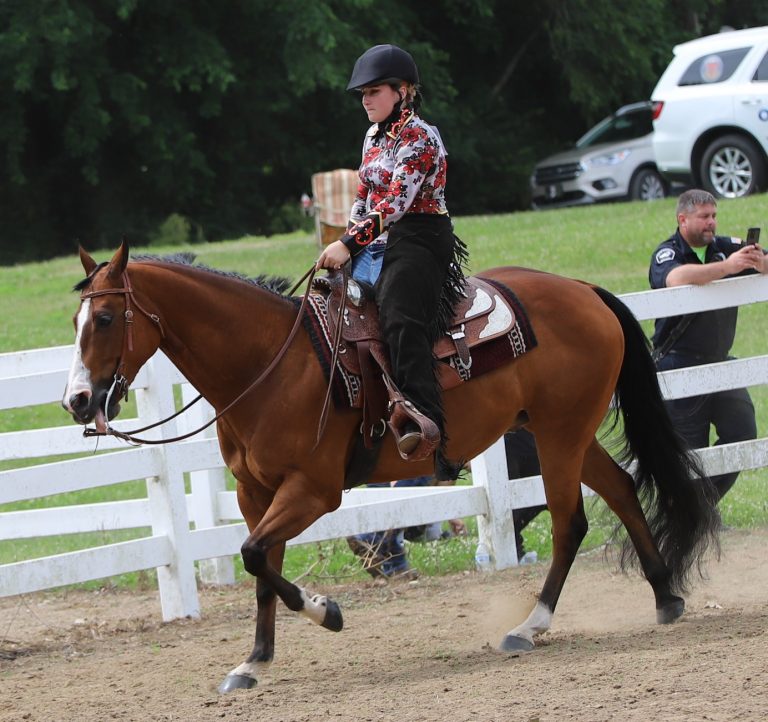 horse show