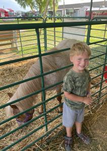 hamilton fair