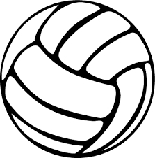 Volleyball LOGO