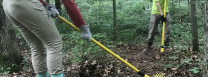 Nature preserve