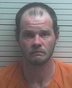 mcdaniel arrest