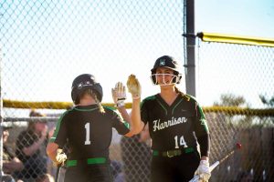 harrison softball