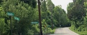 yorkridge cleanup