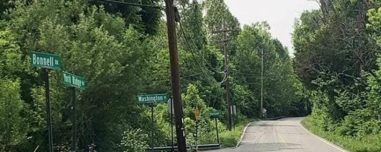 yorkridge cleanup