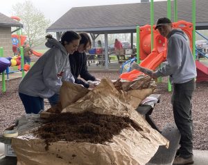 tree giveaway
