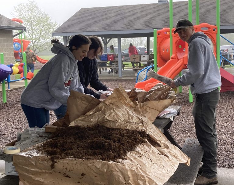 tree giveaway
