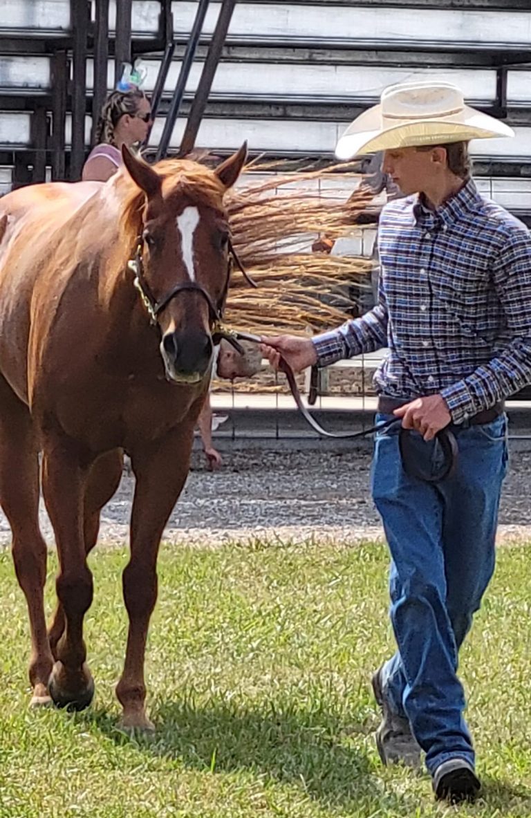 hamilton county fair