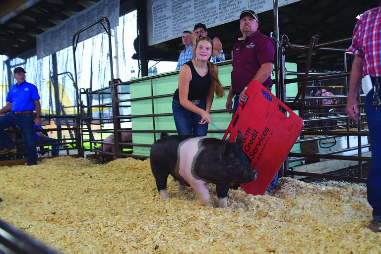 Dearborn County Fair