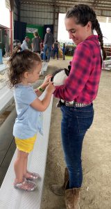 Hamilton county fair