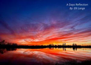 Lange state photo winner