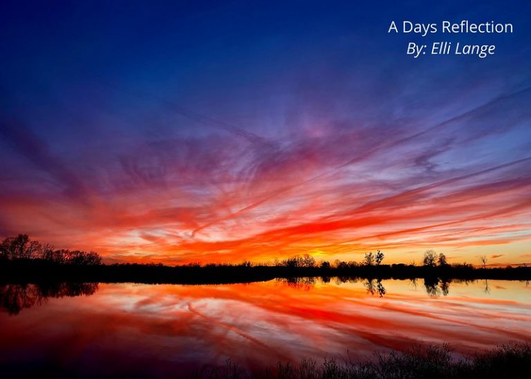 Lange state photo winner
