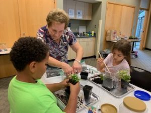 Shaker terrariums