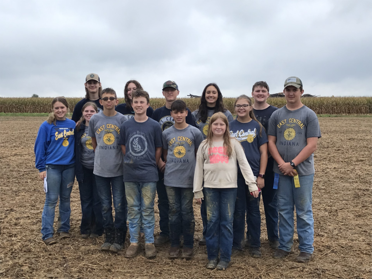 EC FFA soil