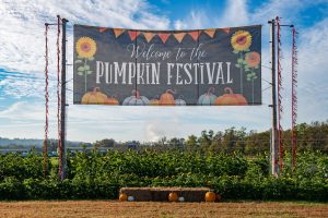 pumpkin festival