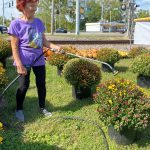 fall watering