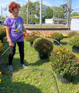 fall watering